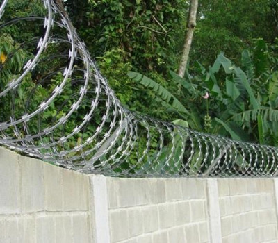 Detalhes do produto PROTETOR PERIMETRAL 30cm (Concertina) - Alge