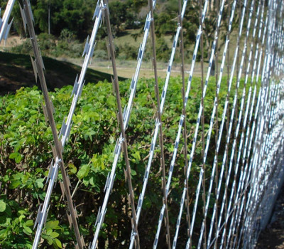 Detalhes do produto Rede Laminada - Alge